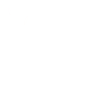 Maison Papillon Logo